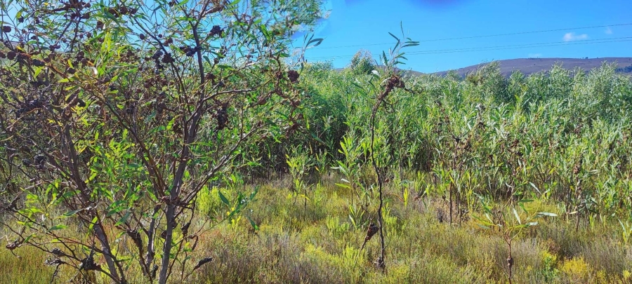 0 Bedroom Property for Sale in Franskraal Western Cape